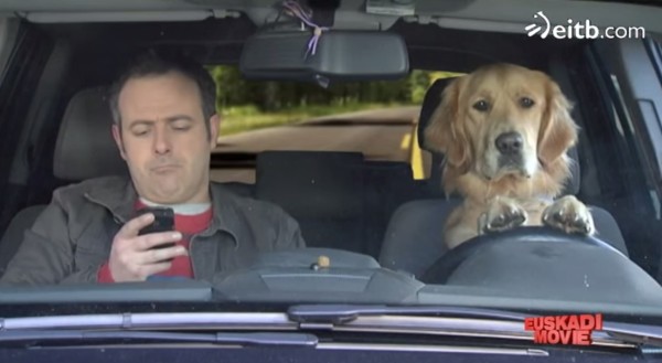 Obten tu perro lazarillo y vive pegado a tu smartphone sin preocuparte.