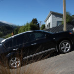 Dunedin-1